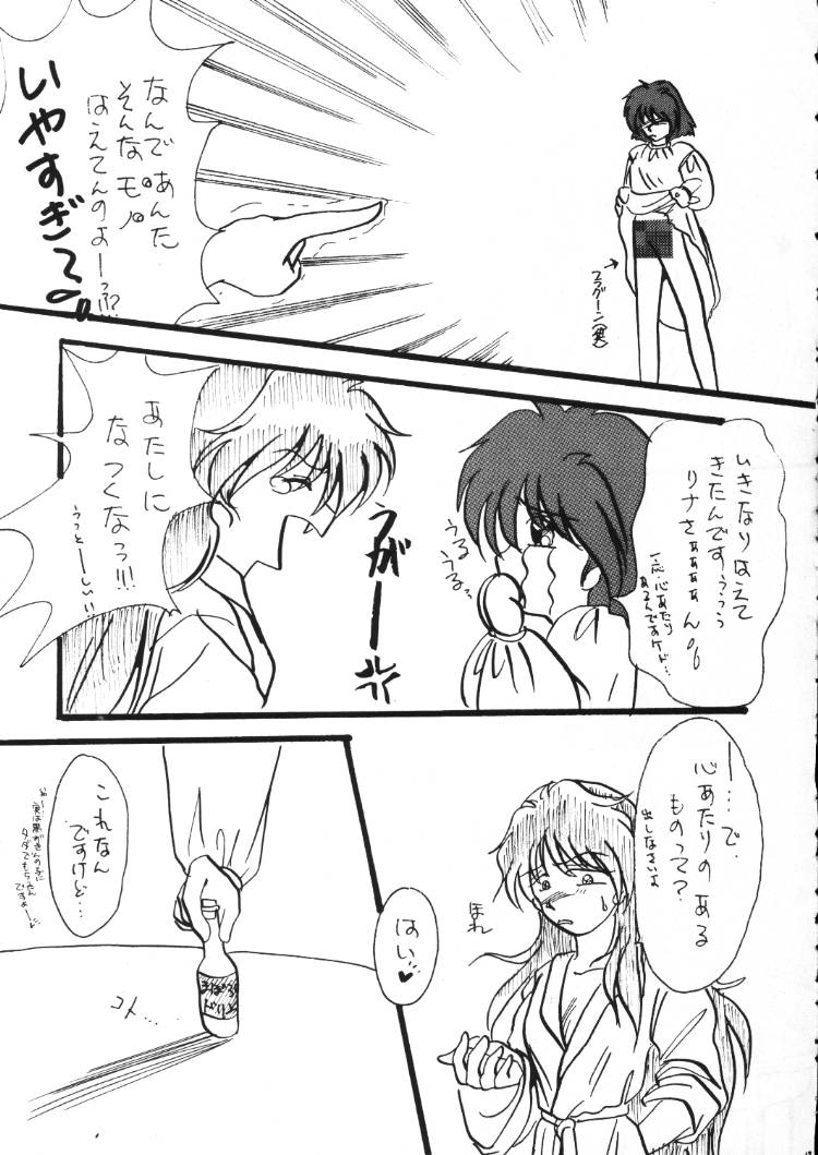 (C48) [兄貴が行く] 言語道断 (スレイヤーズ)