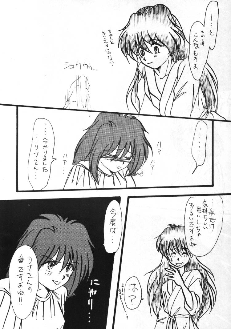 (C48) [兄貴が行く] 言語道断 (スレイヤーズ)