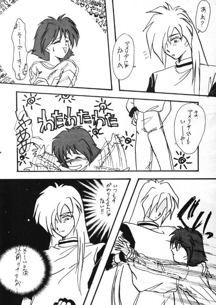 (C48) [兄貴が行く] 言語道断 (スレイヤーズ)