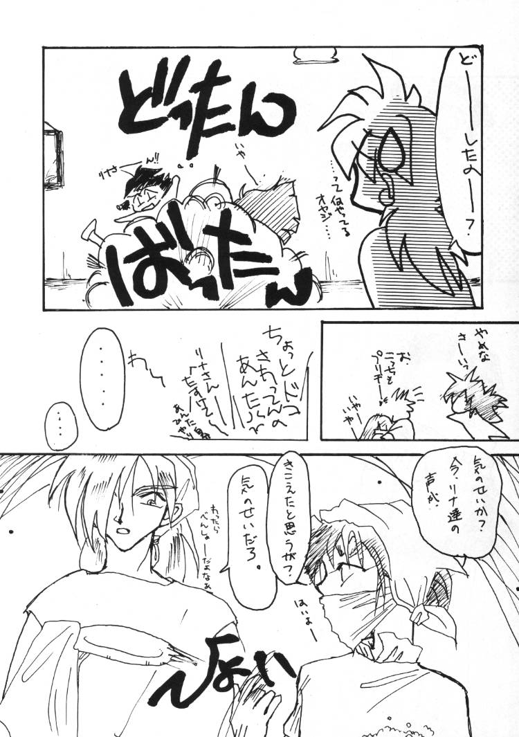 (C48) [兄貴が行く] 言語道断 (スレイヤーズ)