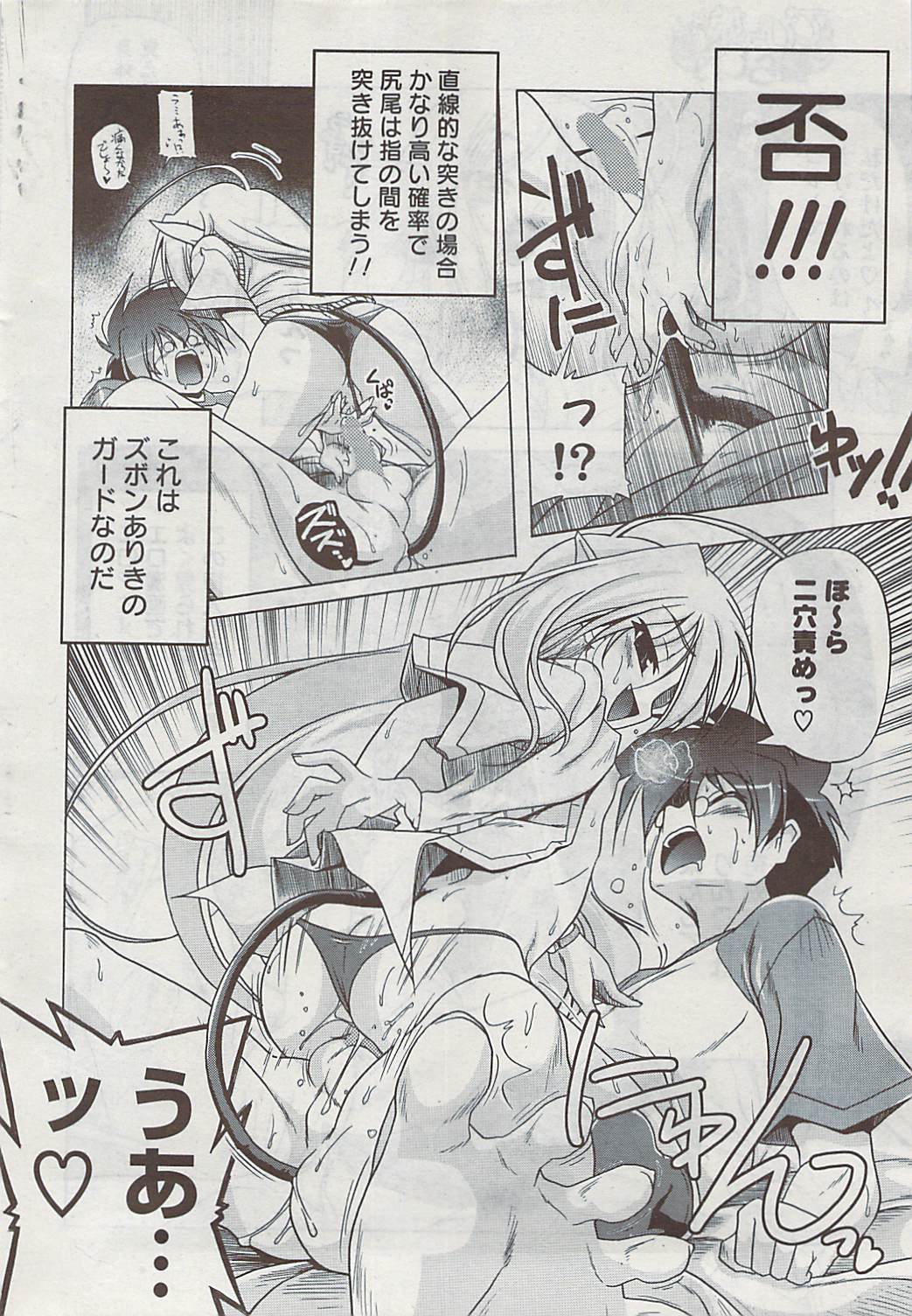 COMIC ポプリクラブ 2008年11月号