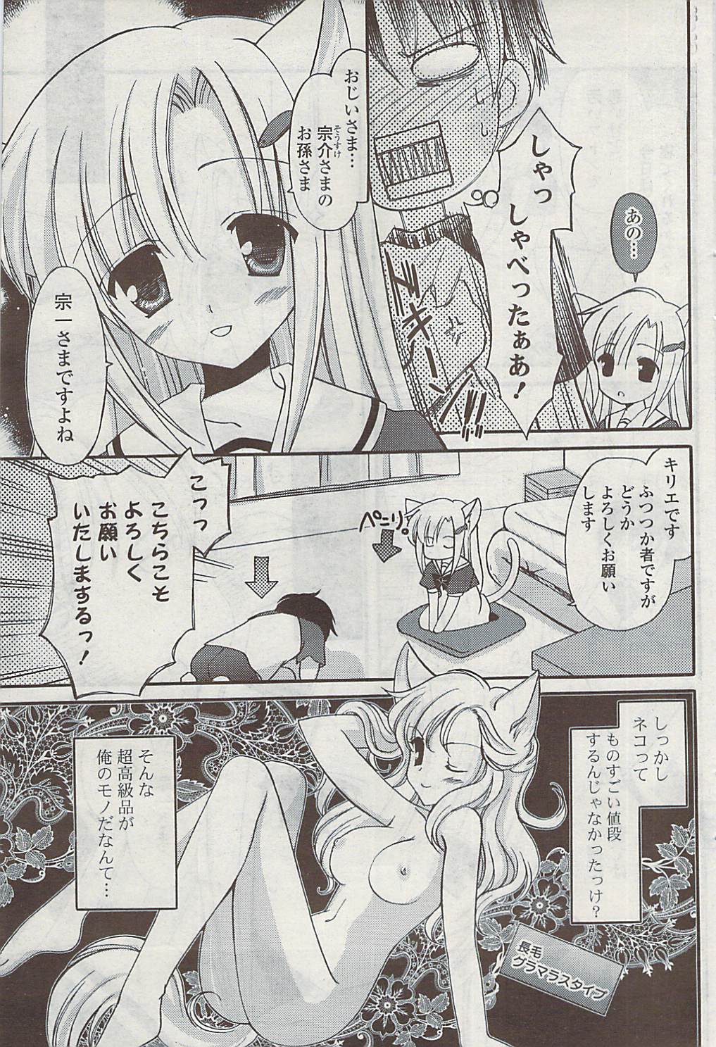 COMIC ポプリクラブ 2008年11月号
