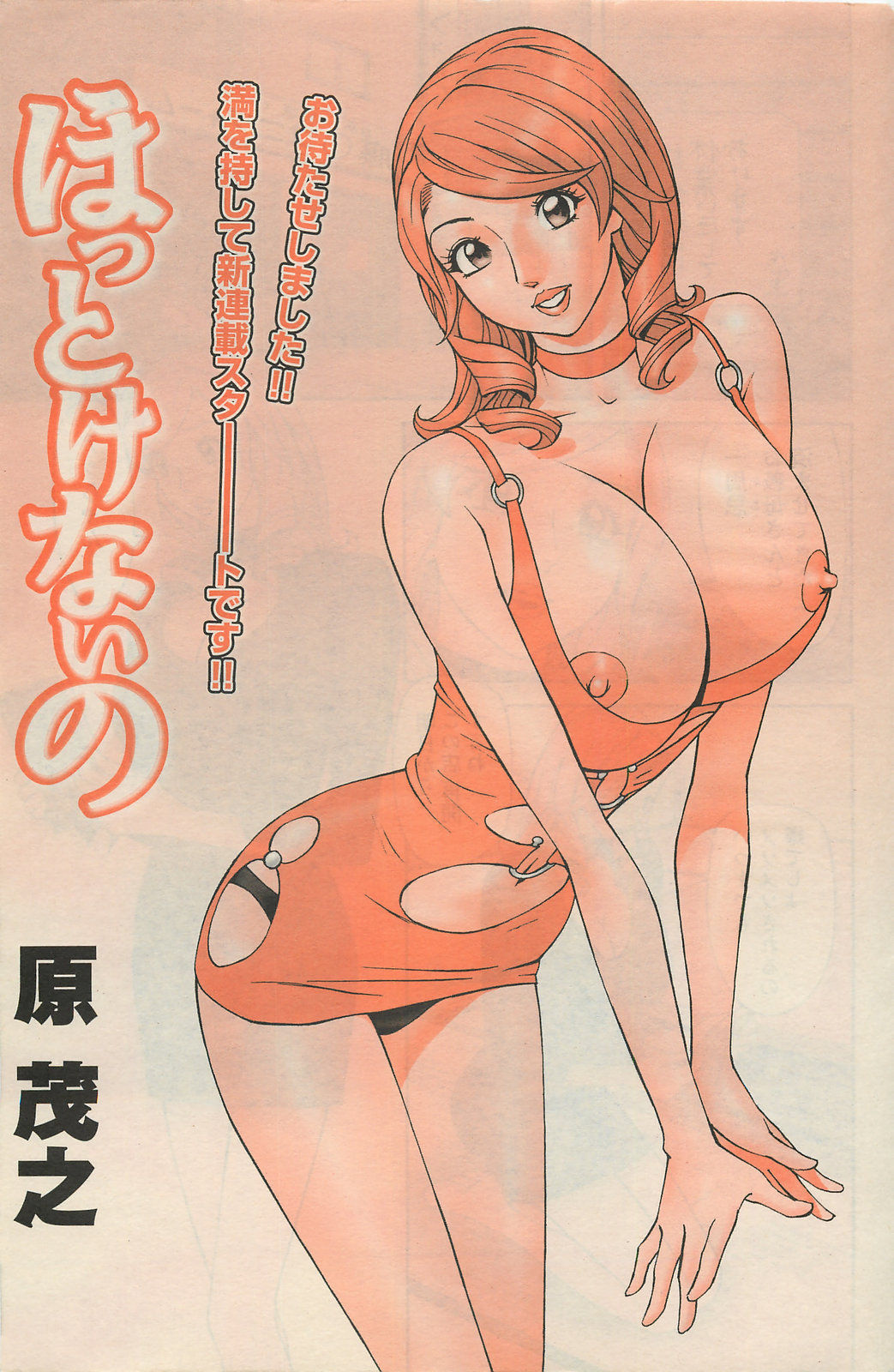 アクションピザッツDX 2008年5月号