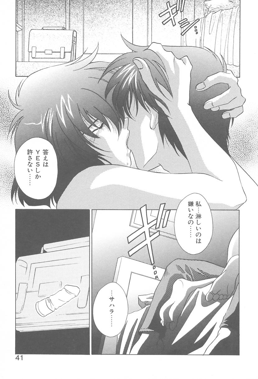 [御国紗帆] TWIN HEART