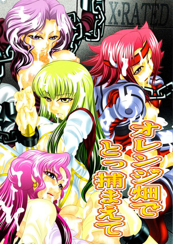 [有害図書企画 (さとちず , たなかなぶる)] オレンジ畑でとっ捕まえて (コードギアス 反逆のルルーシュ)