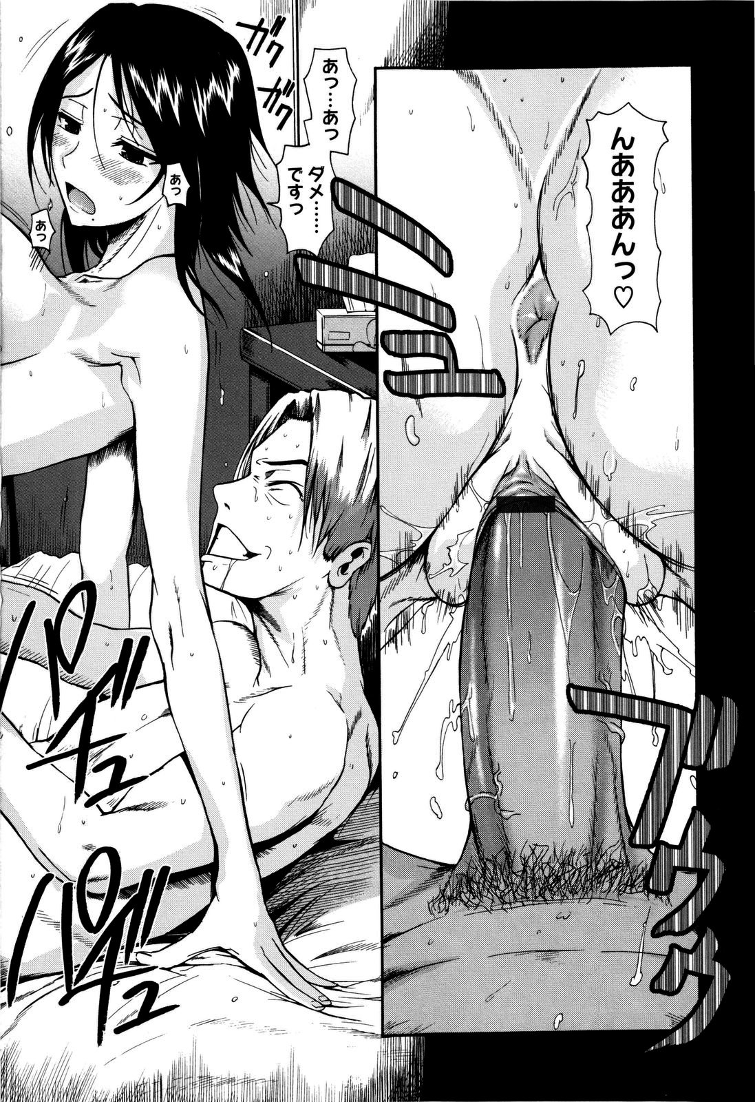 [フエタキシ] チューべろーず