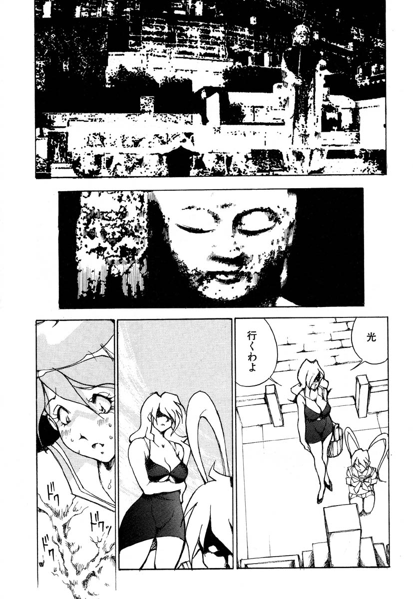 フラミンゴR Vol.05