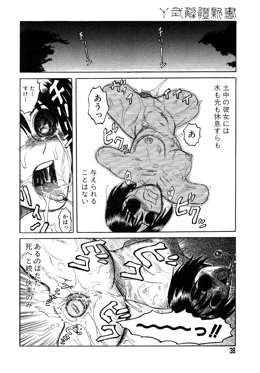 [氏賀Y太] Y式解体新書