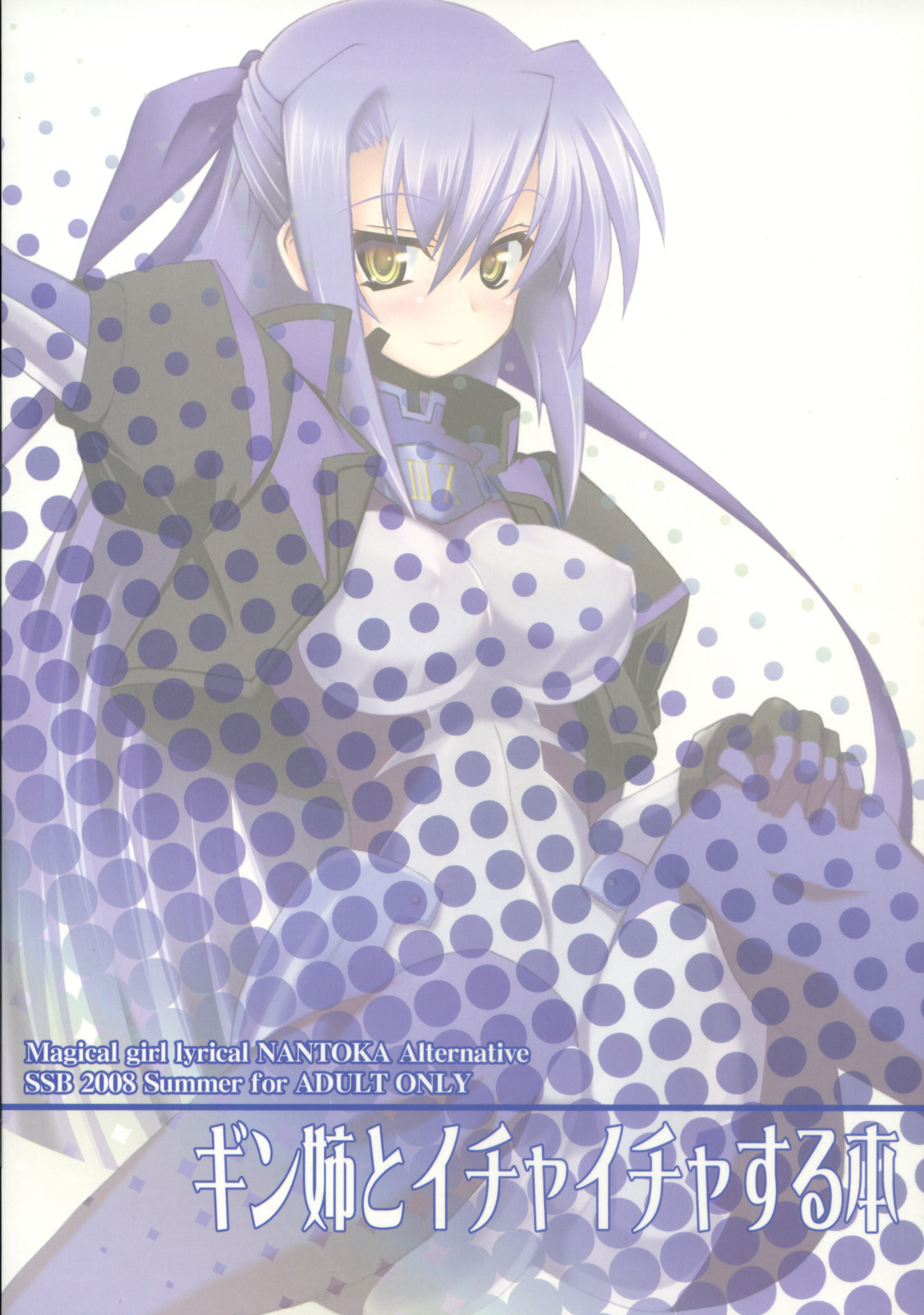 (C74) [SSB (まりりん)] We're Not Gonna Fall (魔法少女リリカルなのは)