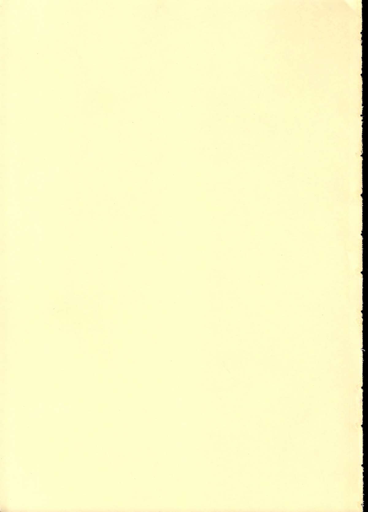 (C59) [ちぬはうす (Mr. ちぬっく)] FOREVER TOGETHER (ファイナルファンタジー VII)