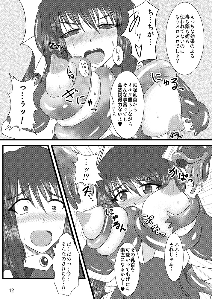 [FONETRASON (竜湯)] 煌盾装騎エルセイン Vol.2 「Nightmare Agitator」