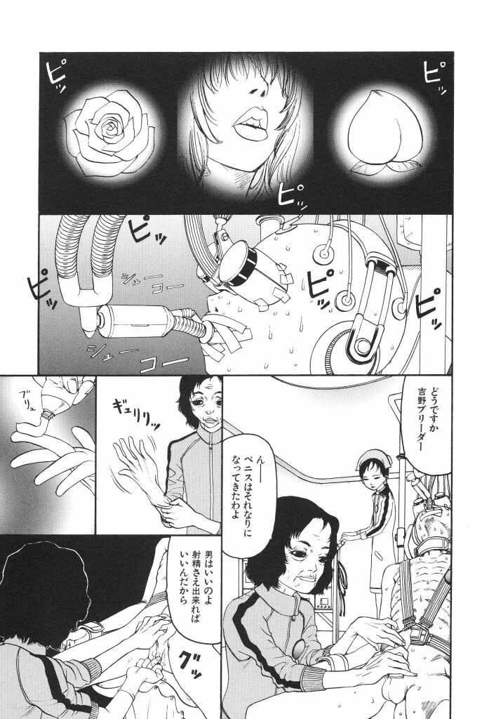 [SABE] ブルマー1999