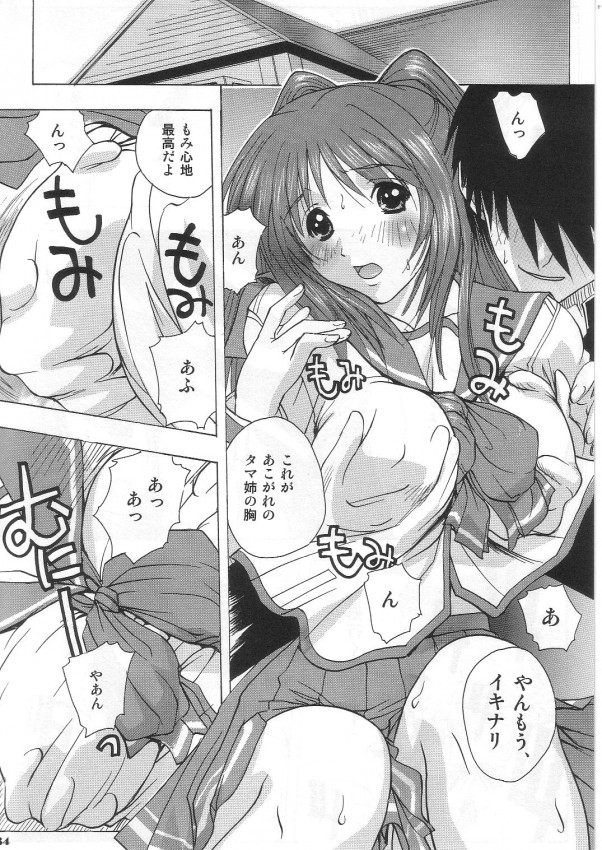 [ウッキーラボ (Kika = ざる)] タマ姉&このみ (トゥハート2)