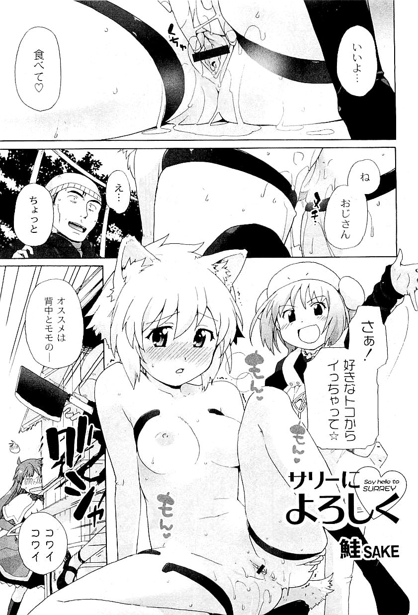 コミックプラム 2009年4月号