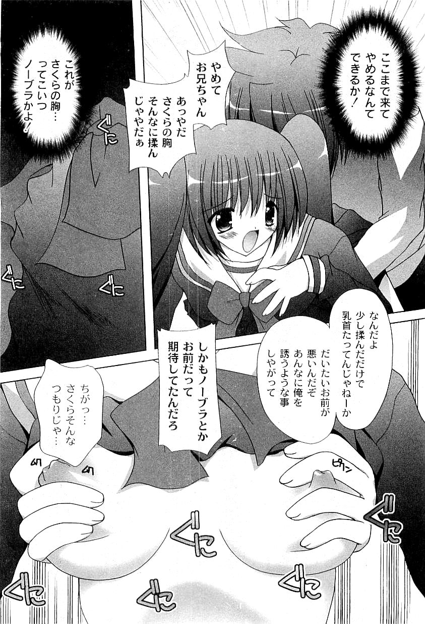 コミックプラム 2009年4月号