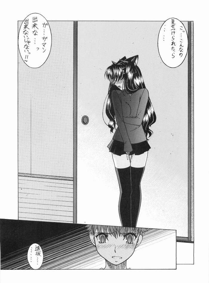 (C68) [さなづら同人誌発行所 (さなづらひろゆき)] ねこみみFate 2 (Fate/stay night)