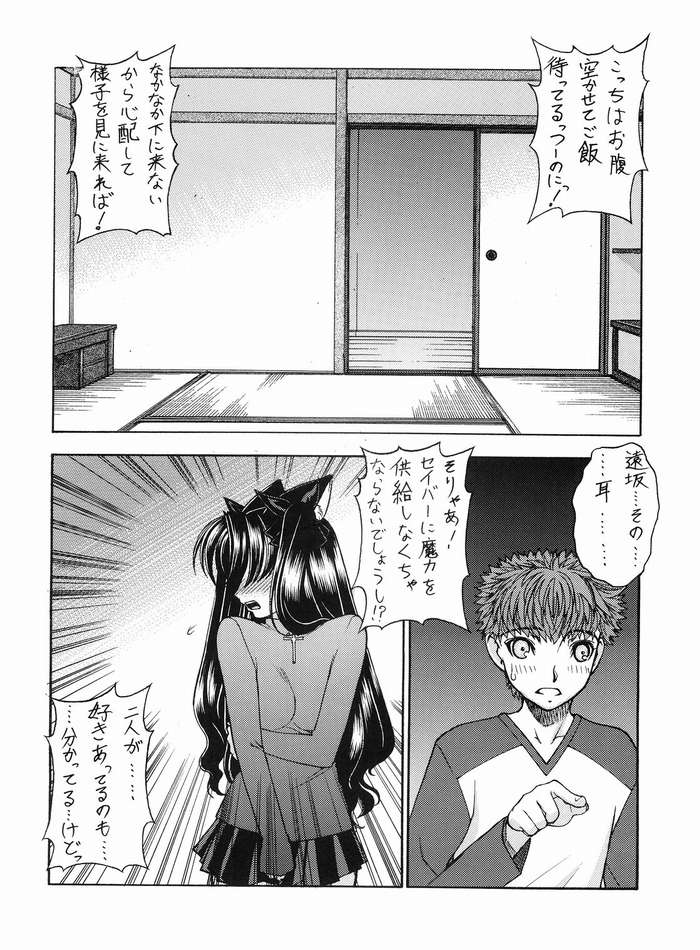 (C68) [さなづら同人誌発行所 (さなづらひろゆき)] ねこみみFate 2 (Fate/stay night)