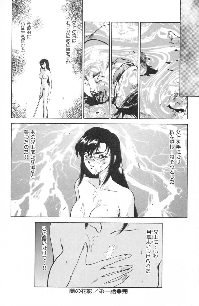 [たいらはじめ] 蘭の花影