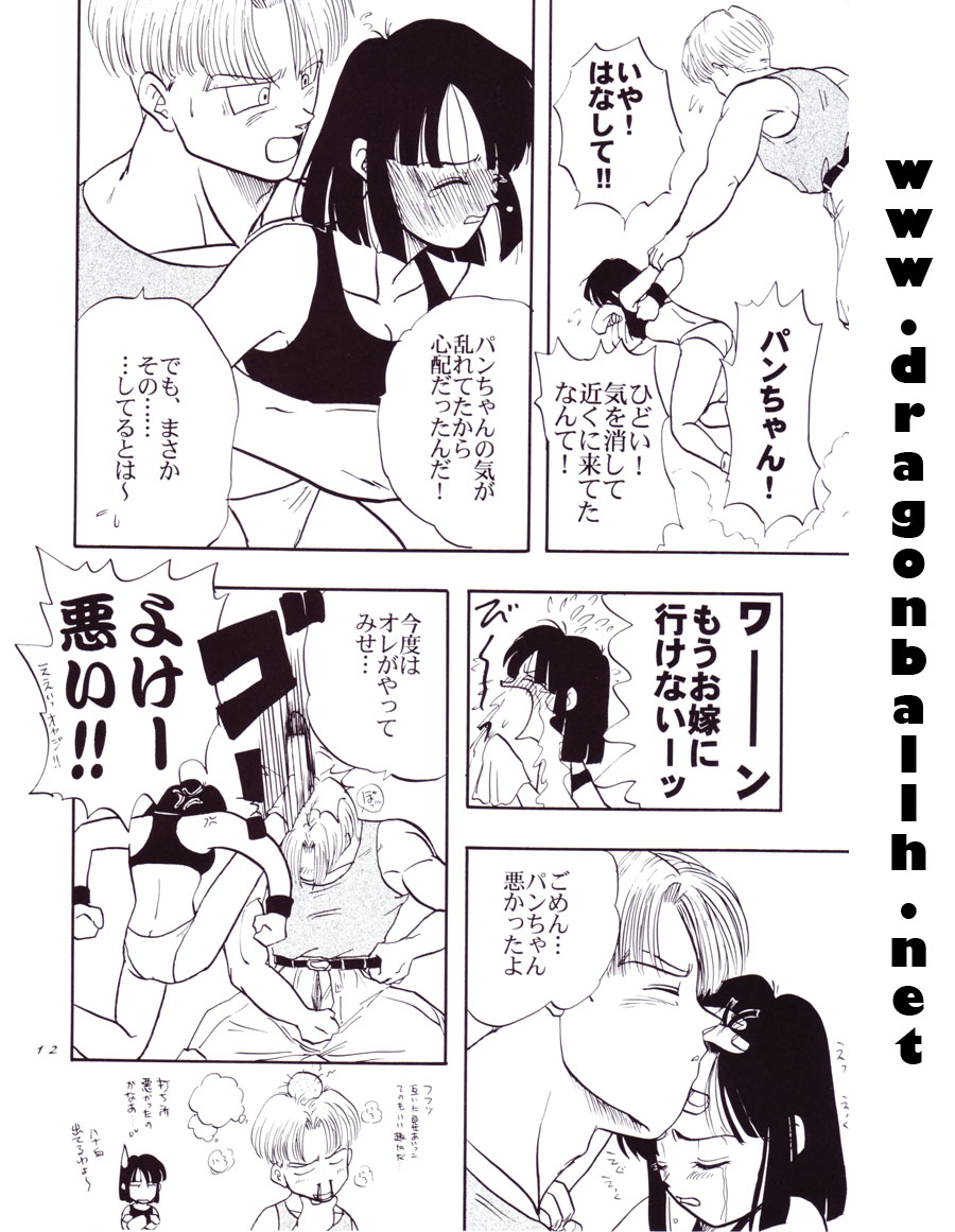 (C54) [ちり紙小屋 , ふすま御殿 (障子張子)] 地理塗王 (ラゴンボール)