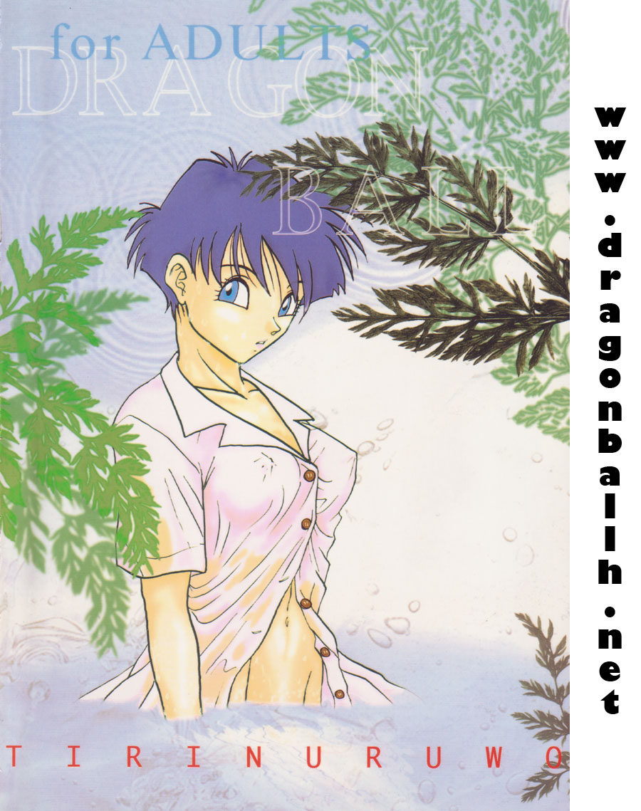 (C54) [ちり紙小屋 , ふすま御殿 (障子張子)] 地理塗王 (ラゴンボール)