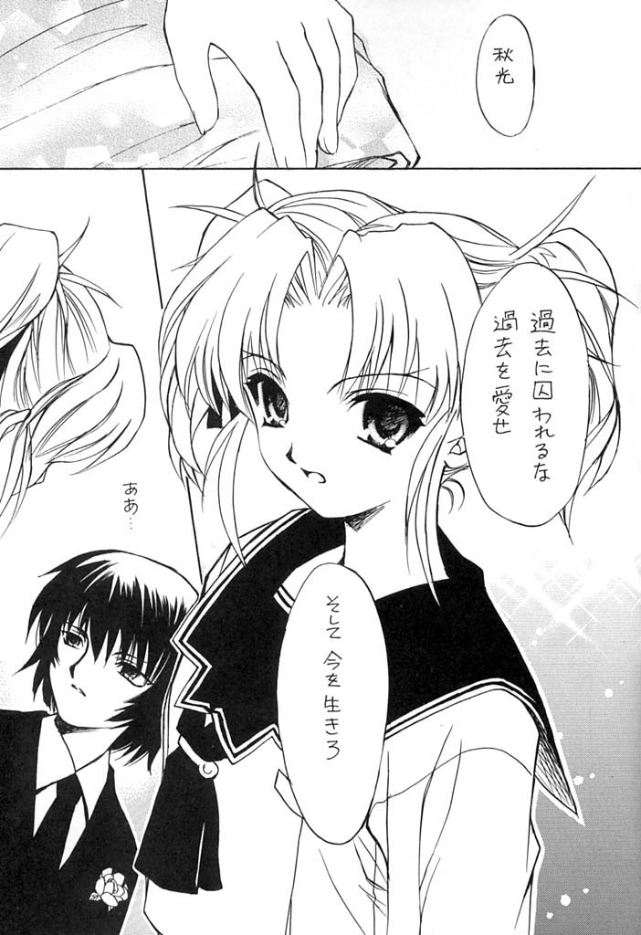 【スカポン堂】ピカレスク