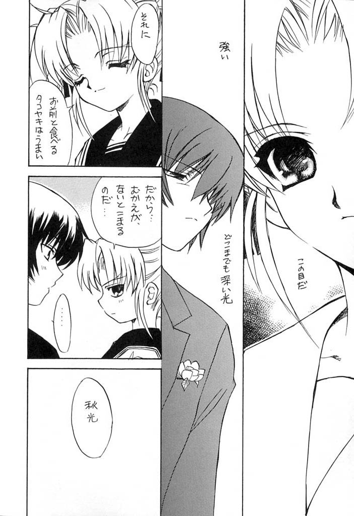 【スカポン堂】ピカレスク
