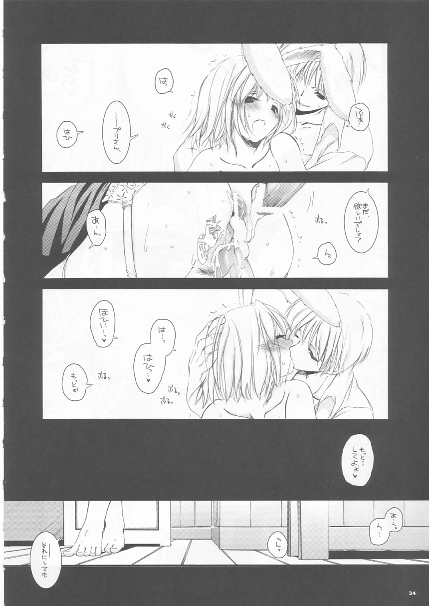 (Cレヴォ35) [Digital Lover (なかじまゆか)] D.L. action 24 (ラグナロクオンライン)