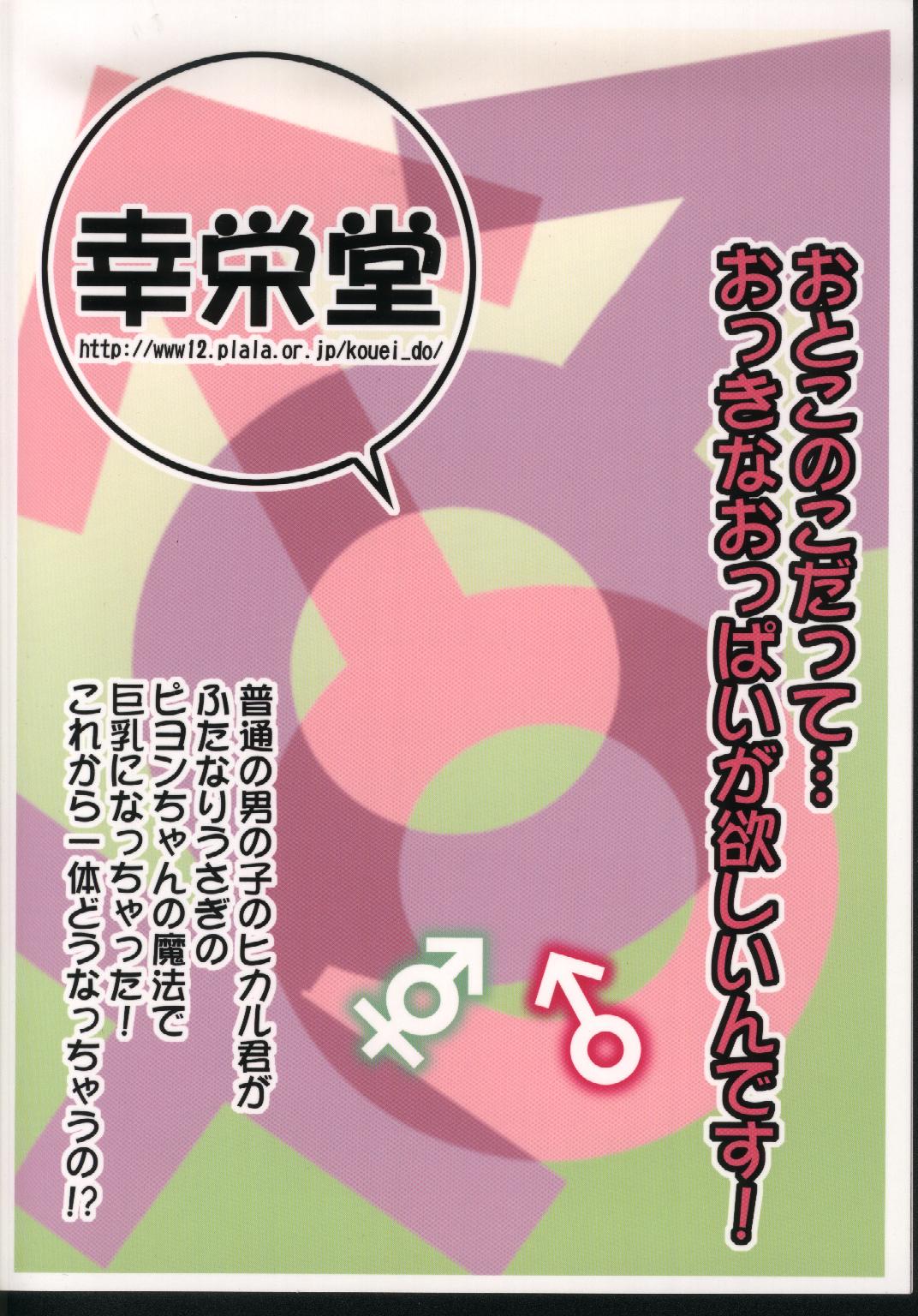 (C75) [幸栄堂 (加藤純)] Inferior 6