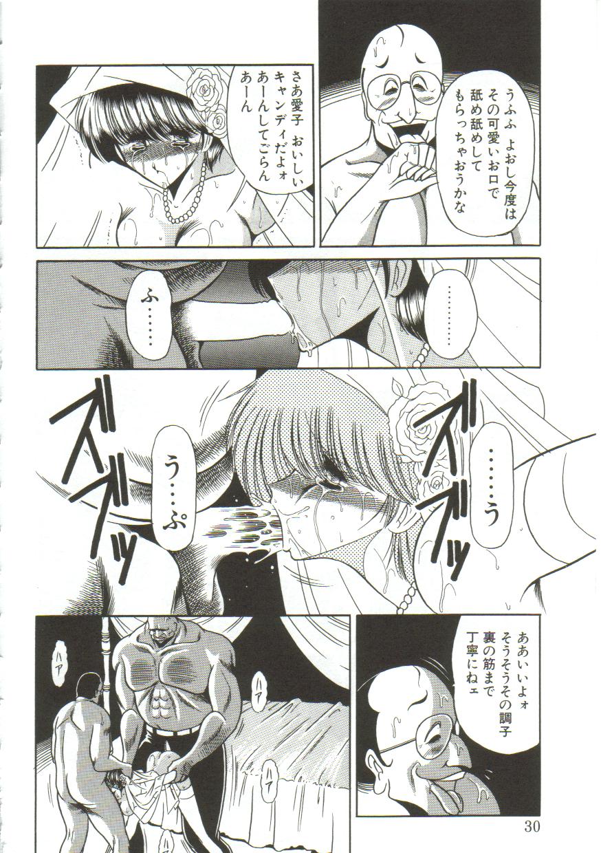 [堀川悟郎] 愛玩凌辱書