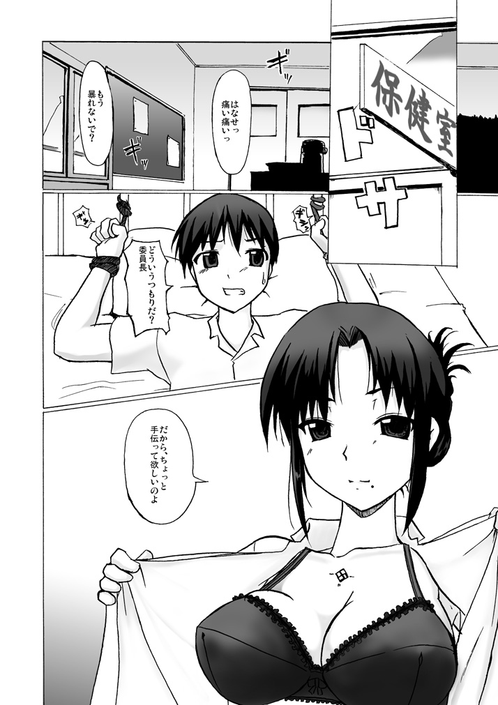 【ビジュアルビスケット】シルバーレインフォトン02の守護者