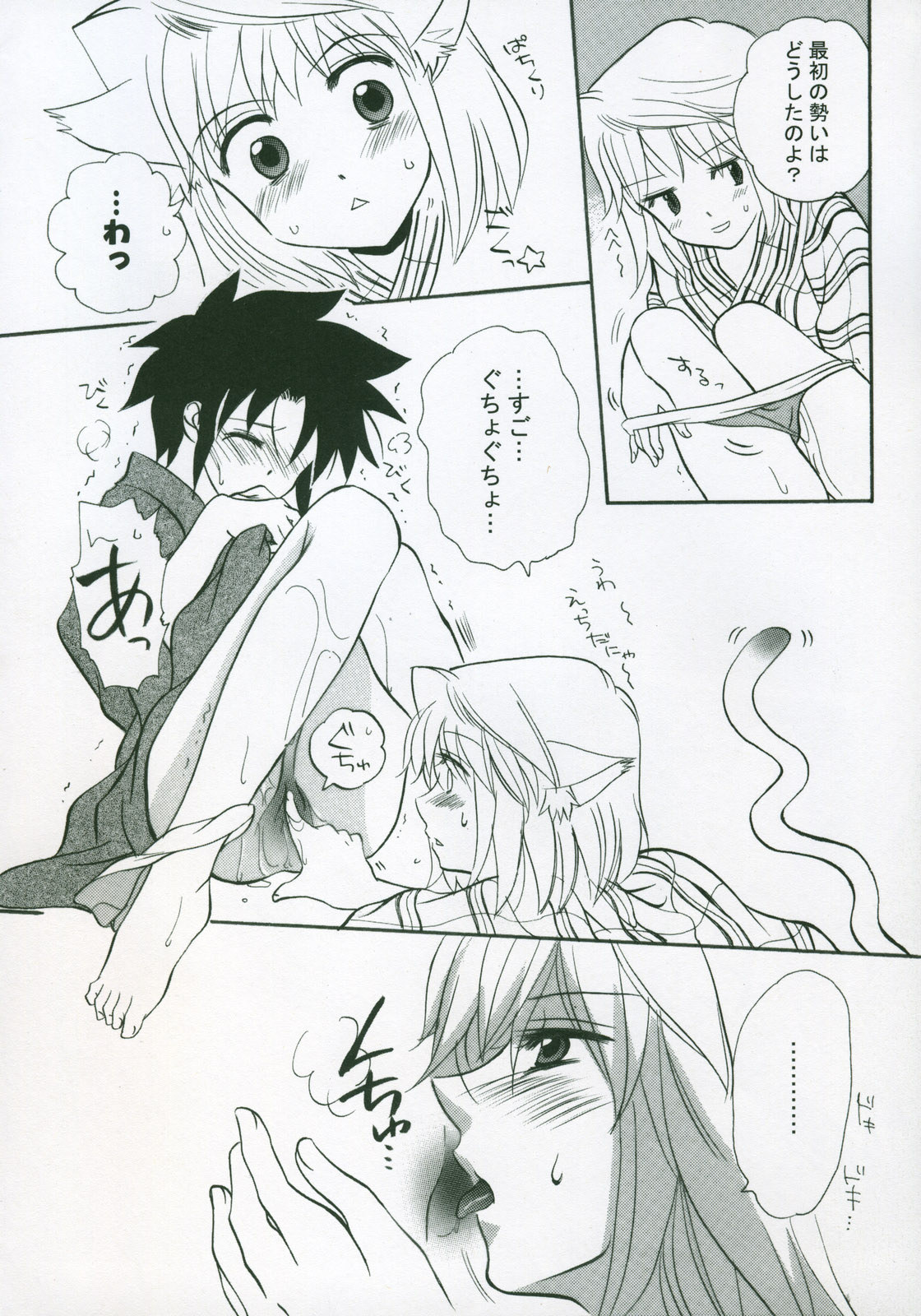 (サンクリ23) [ツキヒメゴト制作委員会 (よろず)] Moon Ecstasy ツキヒメゴト淫 LEVEL ☆ SOFT (月姫)