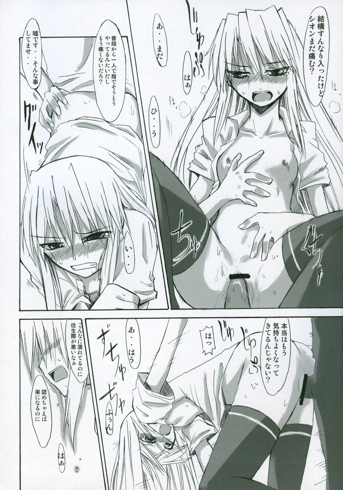 (サンクリ23) [ツキヒメゴト制作委員会 (よろず)] Moon Ecstasy ツキヒメゴト淫 LEVEL ☆ SOFT (月姫)