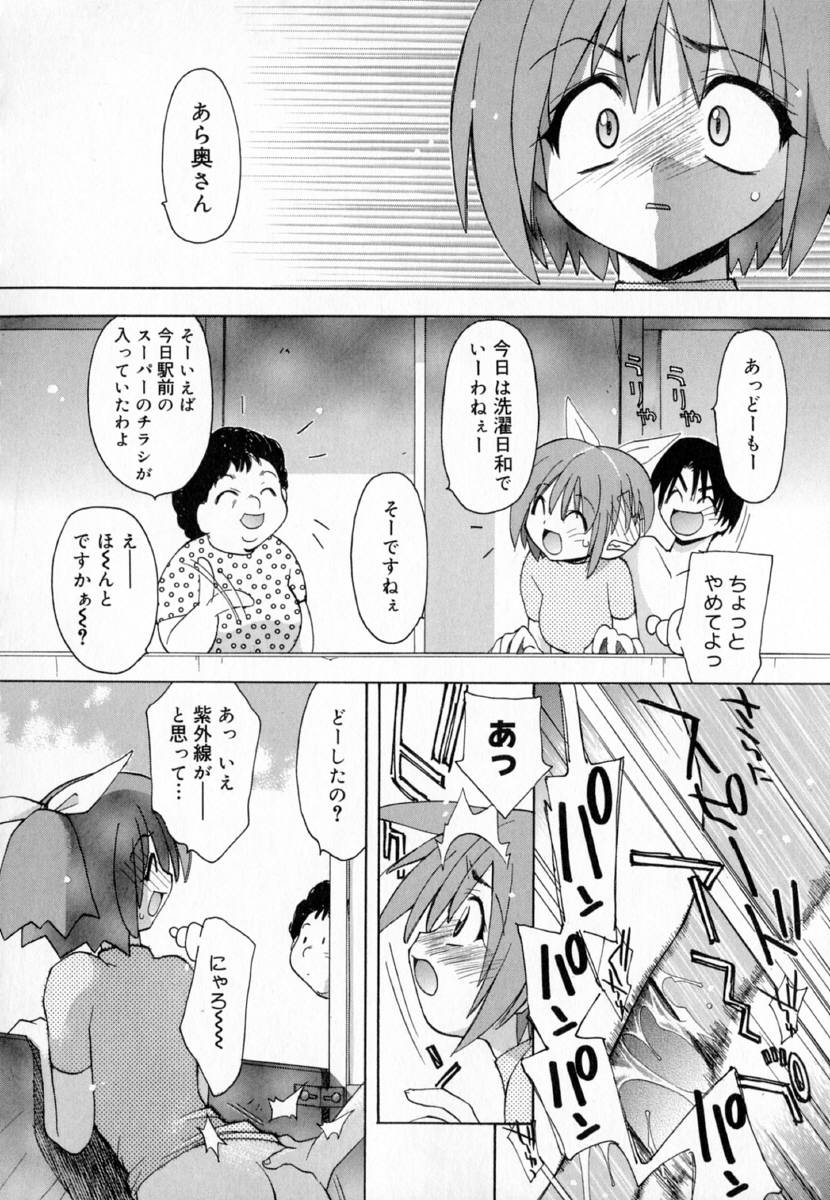 [虎向ひゅうら] 夢で逢えたら!!