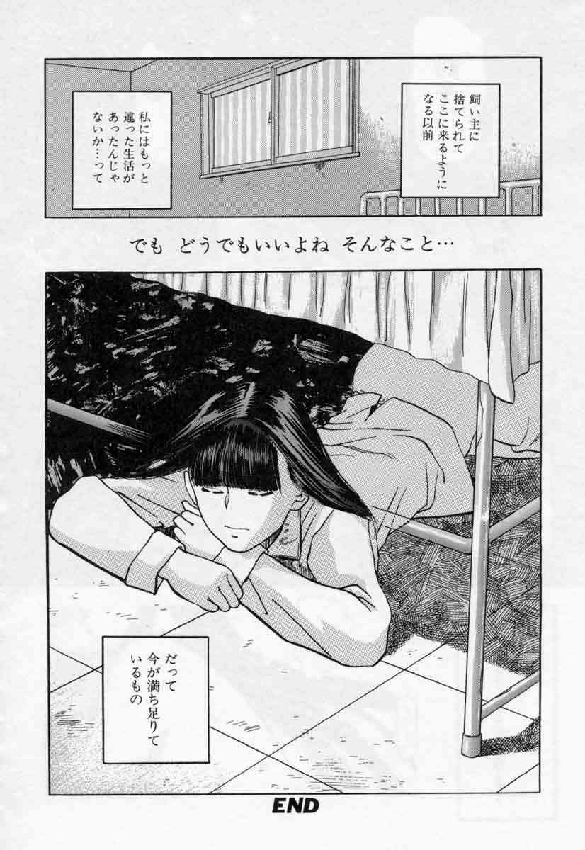 [天竺浪人] ぴくちゃーず
