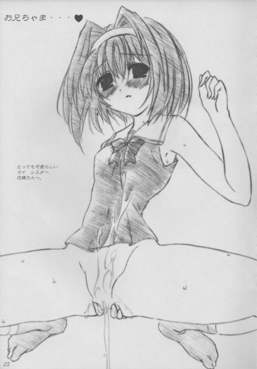 (C63) [アライアンス (みつかさみつき)] twinkle heart (シスタープリンセス)