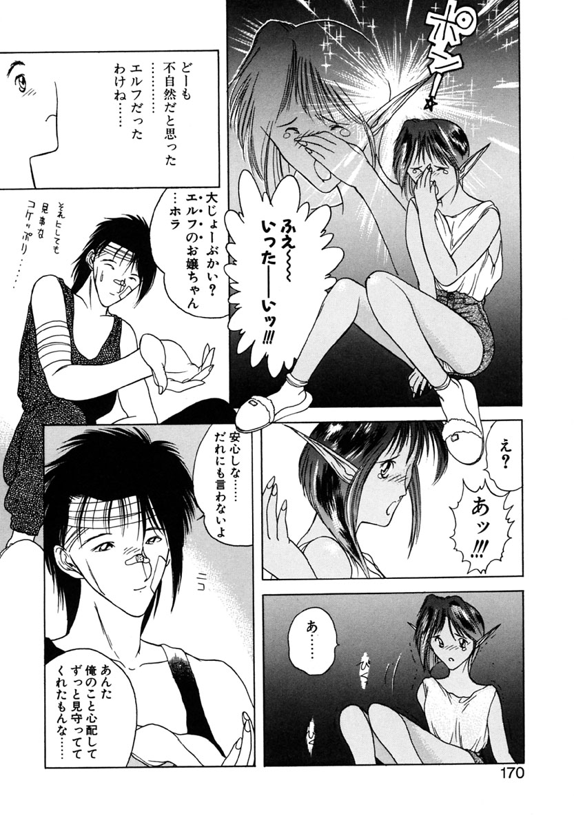 【冨樫】B.M.E.O. （ノマド）