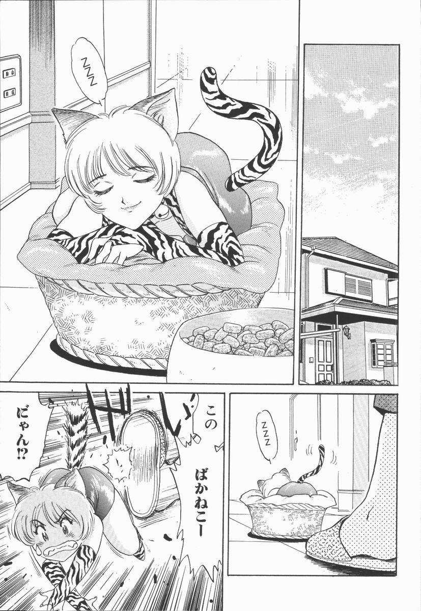 [ふじたじゅん] 奴麗美少女