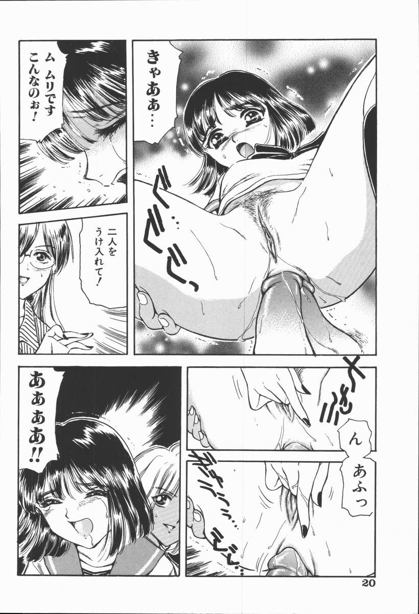 [ふじたじゅん] 奴麗美少女