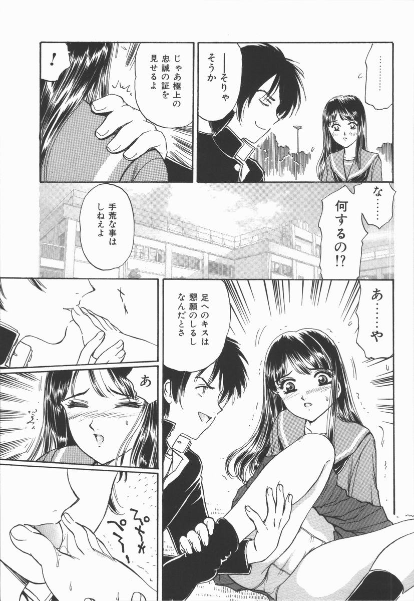 [ふじたじゅん] 奴麗美少女