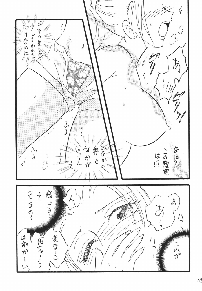 [銀桃堂 (みたさとみ)] 航海日誌DX (ワンピース)