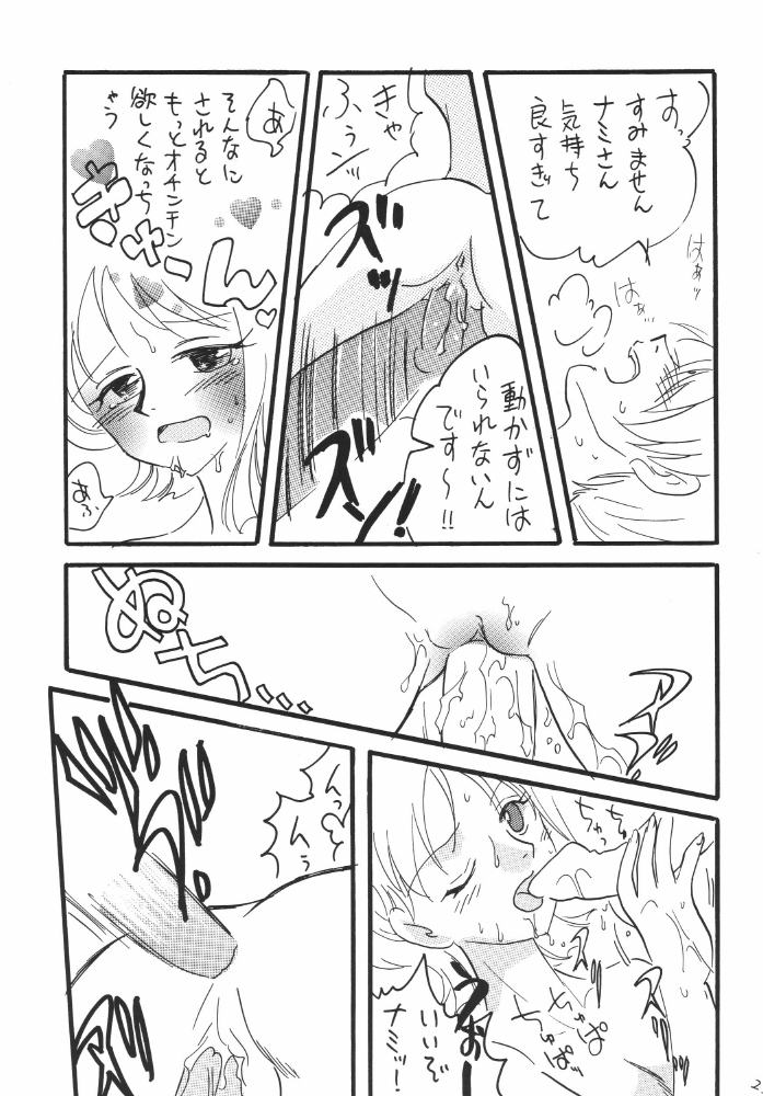 [銀桃堂 (みたさとみ)] 航海日誌DX (ワンピース)