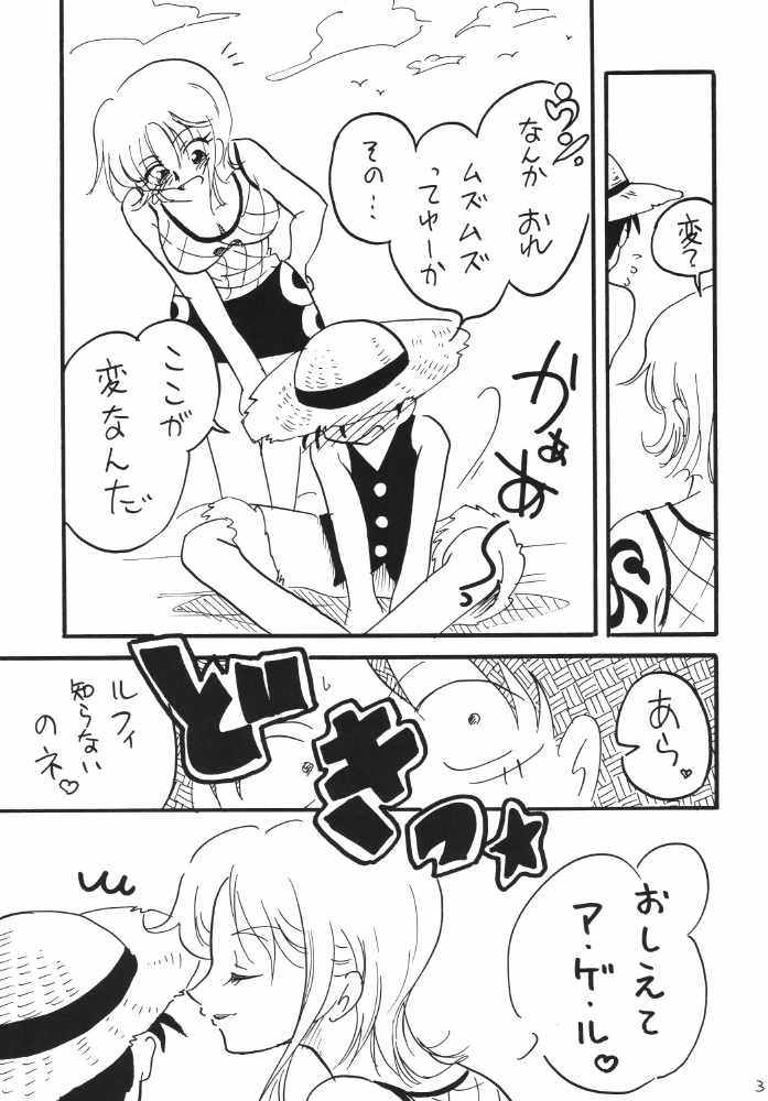 [銀桃堂 (みたさとみ)] 航海日誌DX (ワンピース)