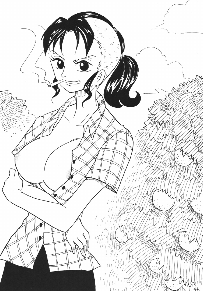 [銀桃堂 (みたさとみ)] 航海日誌DX (ワンピース)