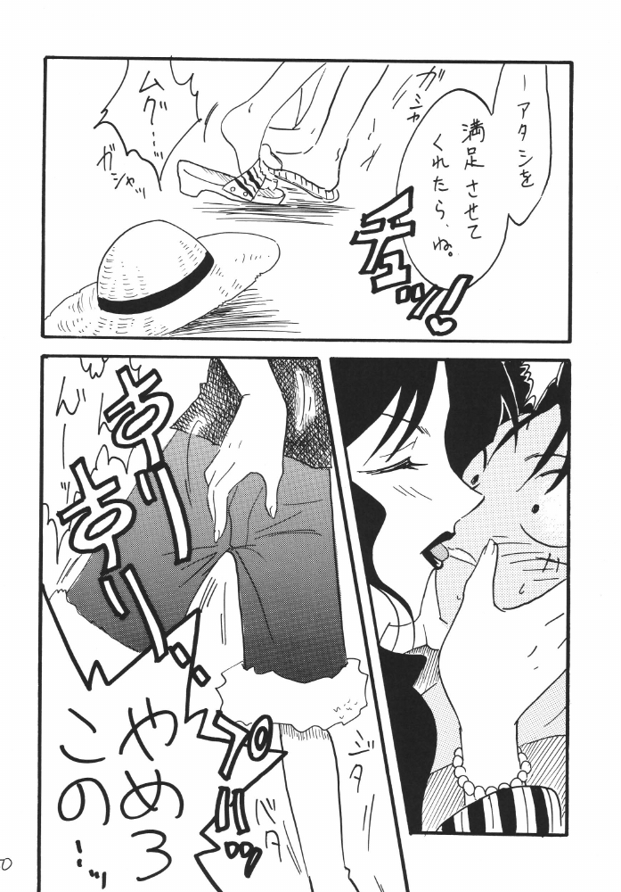 [銀桃堂 (みたさとみ)] 航海日誌DX (ワンピース)