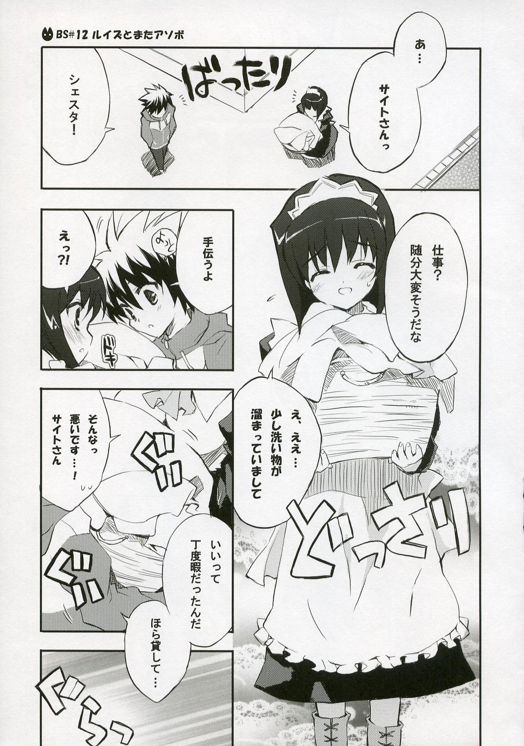 (C72) [ぶらっくしゃど～ (さっち)] BS#12 ルイズとまたアソボ (ゼロの使い魔)