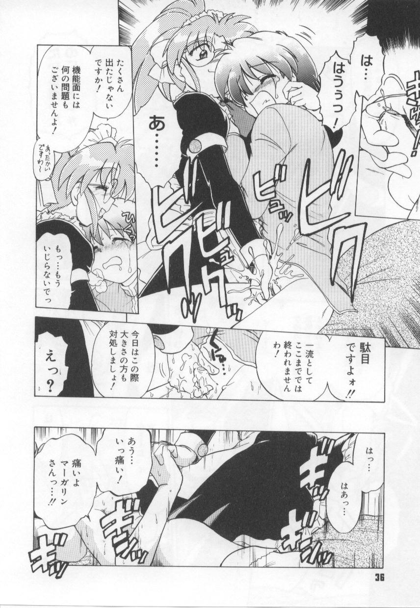 [みた森たつや] めいどin!