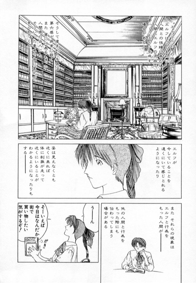 【冨樫】歴史1-森の妖精物語1（イェンクダジル）