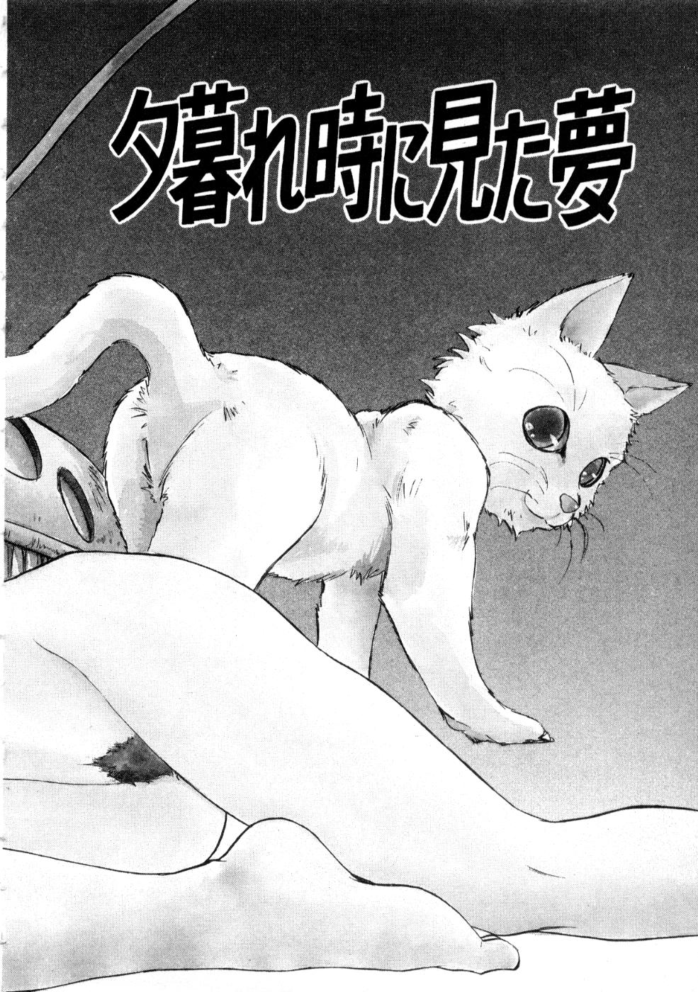 [南野琴] 魔獣契印 2