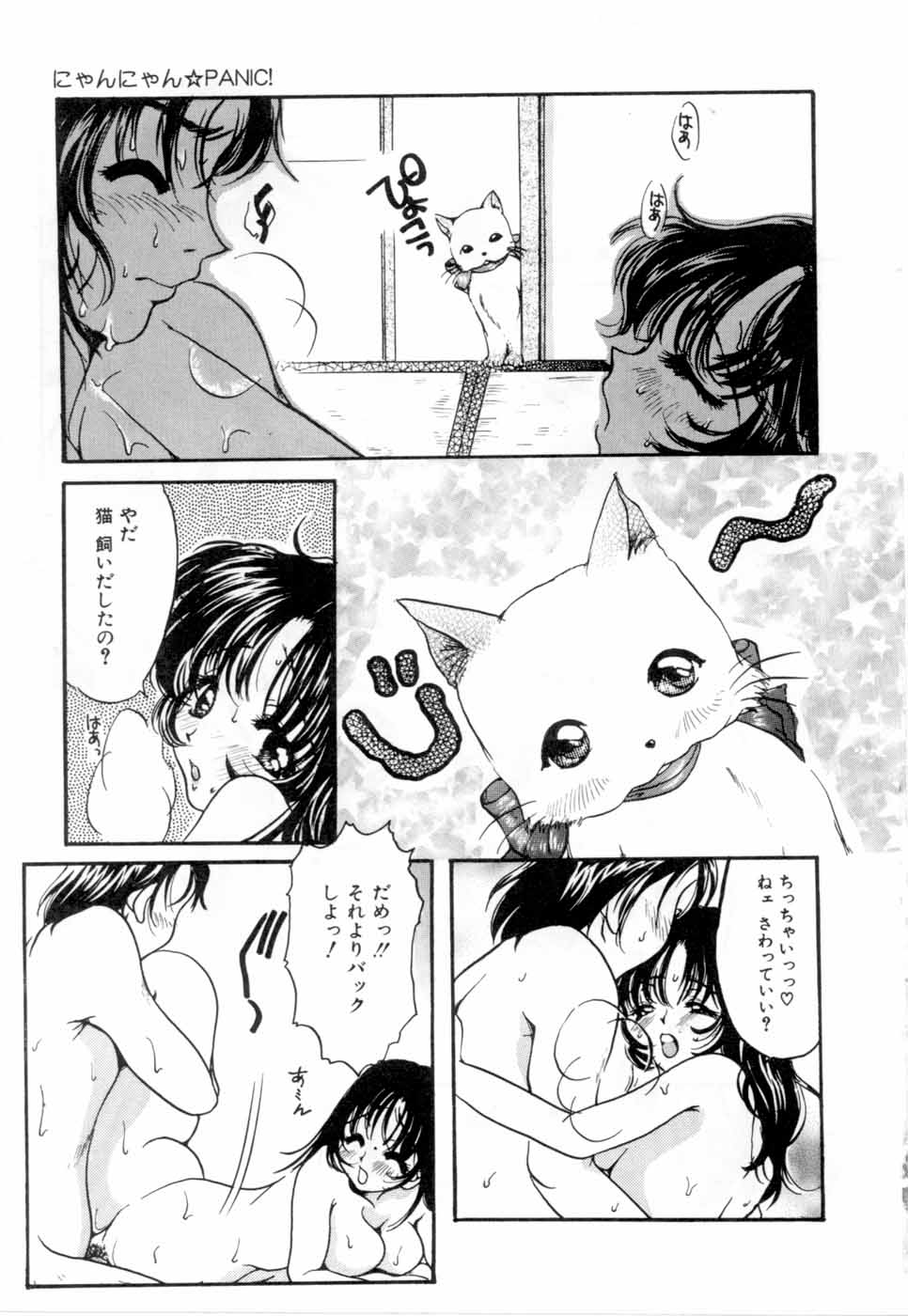 [にゃんこMIC] A感・アナリスト
