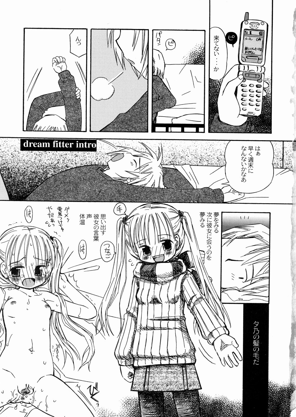 [加賀美ふみを] DREAM FITTER